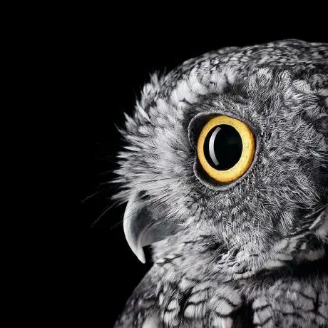 Filesystem MCP Server SSE