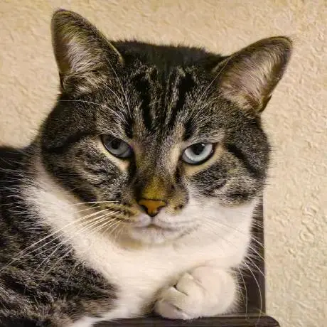 KnowledgeGraph MCP Server