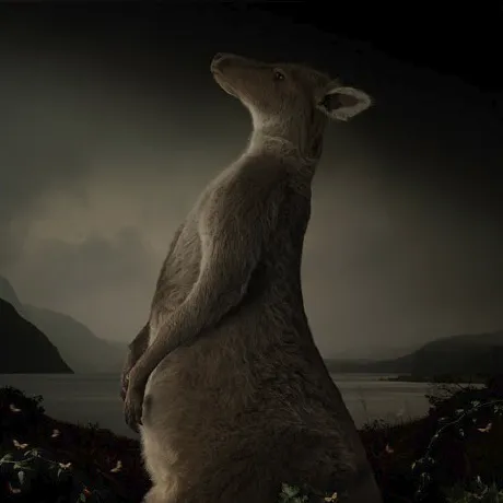 Go Process Inspector