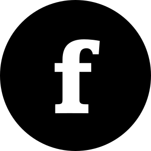 Financial Datasets MCP Server