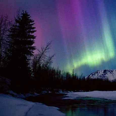 Local Speech-to-Text Model Context Protocol (MCP) Server 🚀