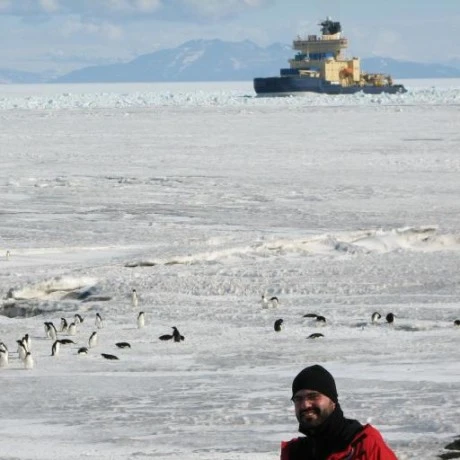 mcp-cps-data MCP server