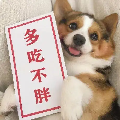 🌦️ Weather MCP Server