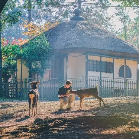 FunASR-Powered MCP Server (MCPServer)