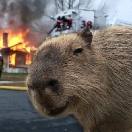 Calorie Tracker MCP Server