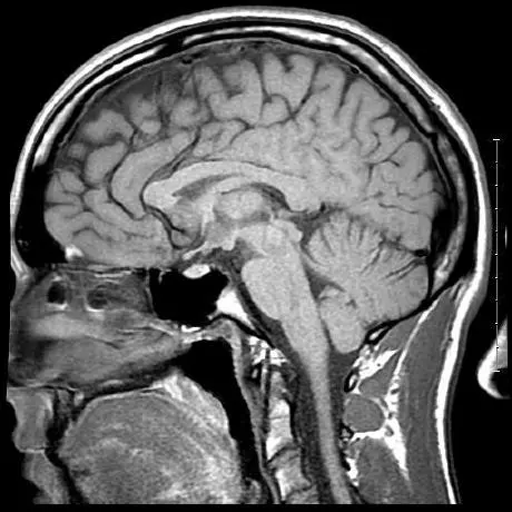 Q-Anon Posts/Drops MCP Server