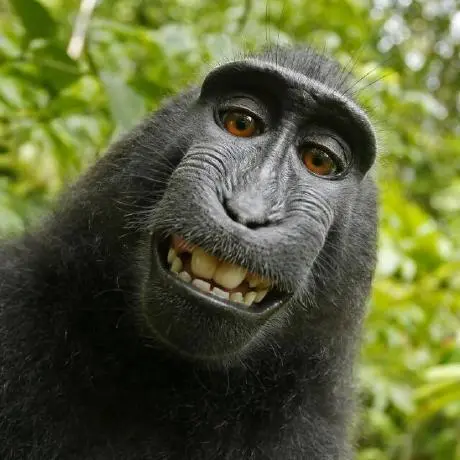 pydantic-ai-researcher