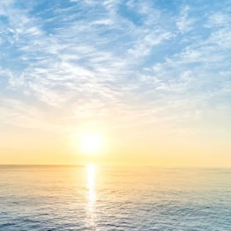 🚀 Wayland MCP Server