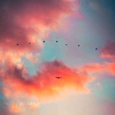 PubMed Analysis MCP Server