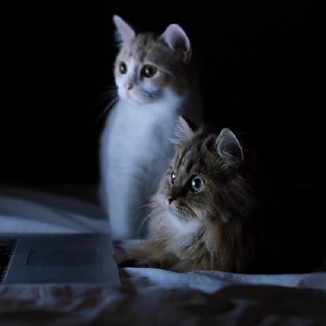 DynamoDB Read-Only MCP