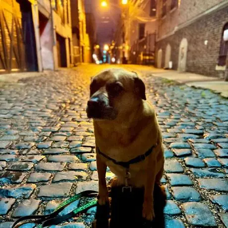 MCP Server for Spinnaker