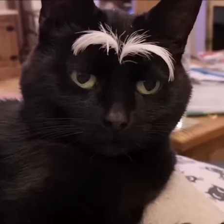 🚀 Monad MCP Server