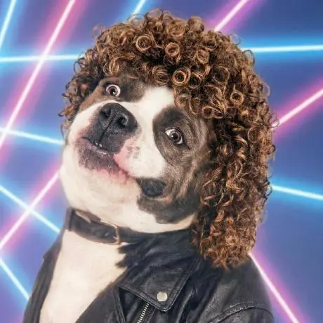 Bottle Shop End of Trade Web Application