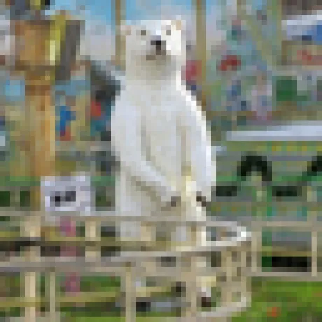 Kachaka MCP サーバー