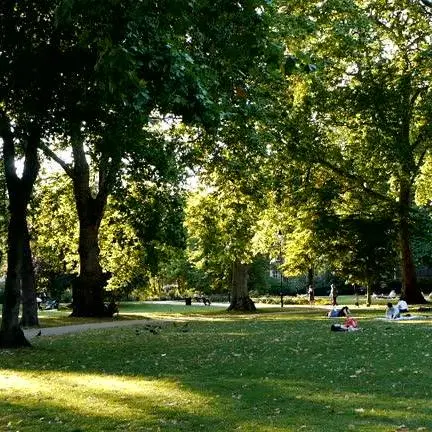 Universal Project MCP Server