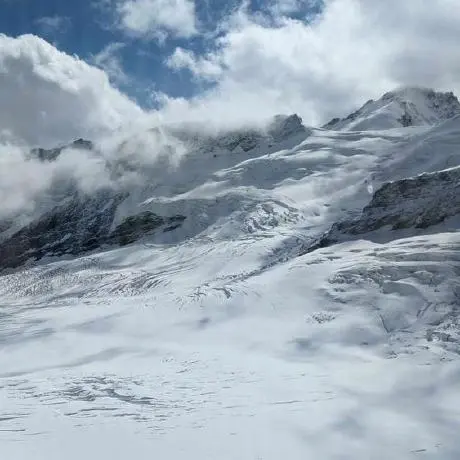 mcp-api-tester Tools & Interfaces