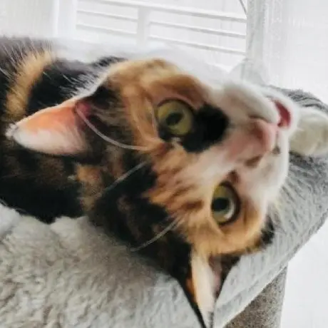 FastAPI for MCP Servers