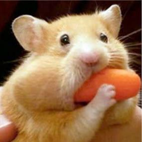 Free Will MCP - Set your AI free