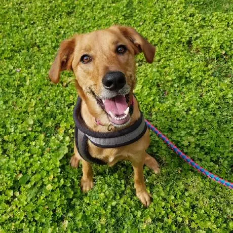 Securities prices MCP server sample