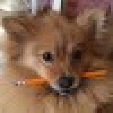 When2Meet MCP Server