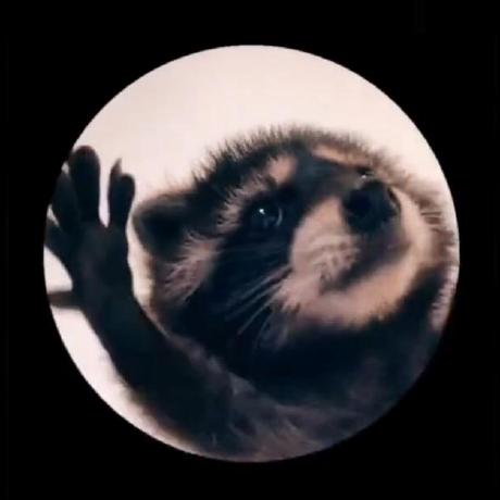 mcp-sns-server MCP Server